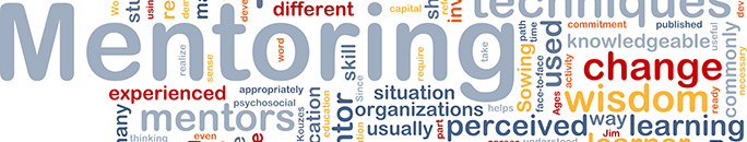Meridian Policy Advisory Mentoring