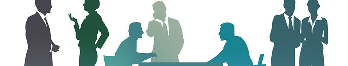 Meridian Policy Consultancy